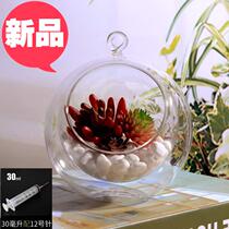 Hydroponic hamster vase small transparent double k layer cooling chair glass ball cooling n rat raising device flower water filling pendulum