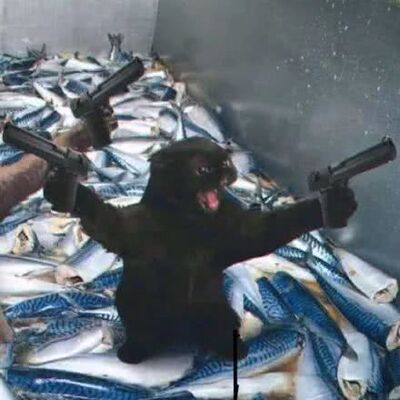 因为本仙女很懒，不想每个产品都去写评价，所以特地模仿一位网友的写下的这个模板，但是这个产品无论是质量还是外型本仙女还是喜欢的，  如果本仙女不喜欢是不会确认收货的，  确认收货了证明认可这个产品，如果用了不喜欢这个模板就会变成喋喋不休的抱怨书，  自然不可能写下这个好评，  这里写下给各位网友参考，这个东西还是值得购买的。