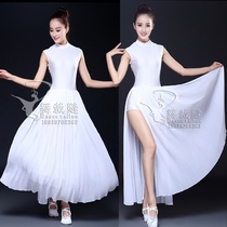 White new suede flower Fanghua with the same modern dance pleated skirt dance suit adult performance suit pole dance suit for women