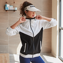 No Replenishment Stand Collar Hooded Sports Jacket Womens Casual Fitness Top Long Sleeve Zipper Running Quick Dry Yoga Clothing
