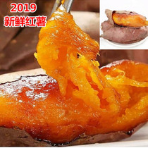 2019 now dig a fresh sweet potato sandy sweet potato with a box 10 catty