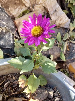 网购了这么多年，这是我第一次这么认真的对待。N次购买了，还推荐给朋友和同事一起买买买！我怀着忐忑的心情拿着手机盯着屏幕，迟迟不敢下手。我怕我一旦说出来，老板会觉得我在拍马屁，东西真是太有魅力了，走在大街上回头率超多啊。嘻嘻！开始我原以为质量是一般般的，想不到拿到手上后的感觉就是不一样，当初的凝虑没有了，真是太开心了！在这店里购物就是一种享受，很值得购买....哈哈！又一次淘到好东西了...好评,绝对的好评!