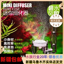 Biewater wind and mini CO2 refiner water grass carbon dioxide atomizer steel bottle decompression table assorted
