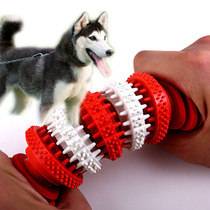 Dog Toys Bite-resistant Teddy Bear Bear Dog Labrador Golden Puppy Medium Large Dog Pet Play