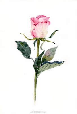 网购内衣最满意的一次，妹妹们放心拍，很性感，质量也是没话说。好评，好评～