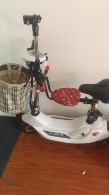 体验raldey电动车怎么样，这个是什么牌子？电池续航能力好吗？