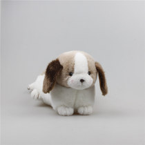 New products Childrens Day gifts Birthday gifts Plush doll toy dog Cute dog toy dog party dog