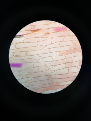 收到货了，感觉有点厚，而且是有钢圈的，还容易肩带下滑。以下评价为凑字数。我问为什么？他悲愤不已的回忆，&ldquo;我妈是我见过控制欲最强的人，我从小到大所有事情，大到读什么学校，小到第二天穿什么袜子她都会插手，她还会规定我每天穿的衣服，从内到外，从头到脚，我不按她要求穿她就生气，太可怕了，我爸究竟是怎么忍受她的？&rdquo;