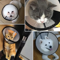 Elizabeth ring Pet collar Shame ring Dog cat anti-scratch collar