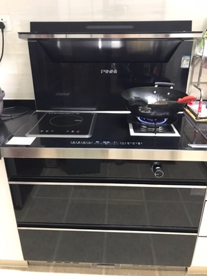 目前看来品尼蒸烤箱怎么样,品尼蒸烤箱质量如何,值得入手吗