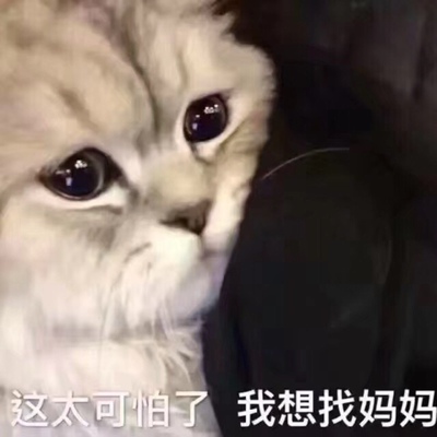 各位小仙女～～这是一个好评模板，不要看了下面都是废话。因为本仙女很懒不想每个宝贝都写好评，所以才模仿网友的好评模板，但是这个宝贝不管是质量还是款式都是本仙女喜欢的～～如果不喜欢、本仙女收到会很生气然后这个模板就会变成各种喋喋不体的吐槽，自然不会撒下这个好评给各位淘友一个参考。本宝贝还是极好的，来自一位懒省事的只爱购物不爱写评论只想换积分的仙女～～