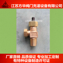 QF-10 needle-shaped chlorine bottle valve chlorine switch chlorine bottle nozzle cylinder valve angle valve liquid chlorine bottle valve QF-10 valve