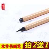 Chengzhutang new brush pen type small case copy can be added ink beginner set calligraphy pen small soft pen students practice automatic ink soft head beautiful pen small letter soft hair water brush brush