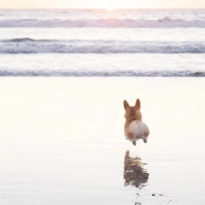 @少女阿妍：这是一个好评模板，不要看了下面都是废话。因为本仙女很懒不想每个宝贝都写好评所以才模仿网友的好评模板，但是这个宝贝不管是质量还是款式都是本仙女喜欢的如果不喜欢本仙女收到会很生气然后这个模板就会变成各种喋喋不体的吐槽，自然不会撒下这个好评给各位淘友一个参考。