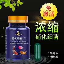 Water quality stability capsule nitrifying bacteria fish tank for digestive Aqua living bacteria active fish grain sea fish freshwater