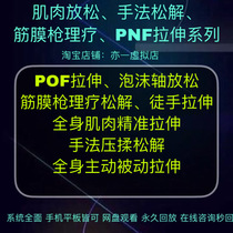 Private teaching fascia gun use course PNF stretching muscle soreness improves running calf relaxation and flexibility