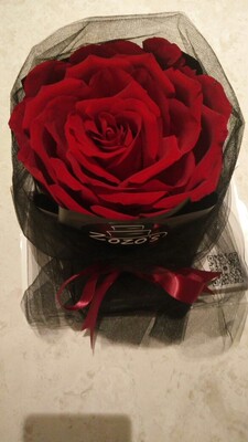 很好看,剪裁很好,显身材,164cm,53kg,m码正好。洗了有点点落色,其他都很好。非常满意。除了价格不便宜,其他没毛病。--分割线--以下废话,你cry咯TCL你做1饿了tototal你屋啊TCL密度小TAT啊1哦lz热咯你做给在哦1颜色1额19楼诺做个够提哈努力啦咯啦咯啦咯了 很好看,剪裁很好,显身材,164cm,53kg,m码正好。洗了有点点落色,其他都很好。非常满意。除了价格不便宜,其他没毛病。--分割线--以下废话,你cry咯TCL你做1饿了tototal你屋啊TCL密度小TAT啊1哦lz热咯你做给在哦1颜色1额19楼诺做个够提哈努力啦咯啦咯啦咯了