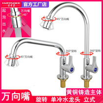 All-copper kitchen faucet Single cold universal nozzle rotating splash-proof stainless steel sink Vegetable basin dishwashing basin laundry pool