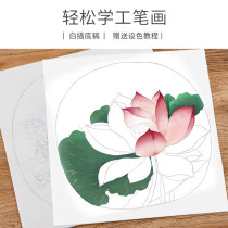 Work Stroke Country Painting Paint Flowers Birds White Sketching Manuscript Line Drafts of flower painting Spectral Introduces Imitation Practice Hand Cooked Rice Paper Country Painting Landscape Painting of Red Cardboard