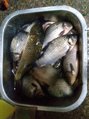 目前看来威联盟鱼竿质量怎么样,好不好用?是不是杂牌的鱼竿?