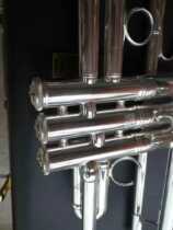 Dennis Vic Timbre Ring