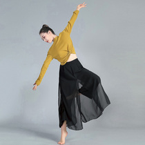 Dance Suit Blouses Modern Dance Ballet Dancers Classical Dance Suit Dancing Suit Women Adult New Yoga Suit
