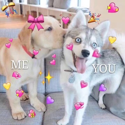 宝贝很好，很舒适!尺码标准，再次回购，一次入手6款都很合适，以后还会再来。多颜色多选择，穿着很舒服，发货快，下次有需要还会再次购买的。