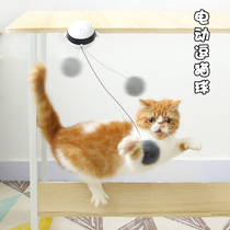 Lazy person tease cat toy cat ball automatic cat teaser cat artifact self-hi Electric cat toy ball cat toy