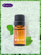 Gangrong Princess peppermint essential oil 10ml one-party plant facial oil massage full body aromatherapy essential oil aromatherapy