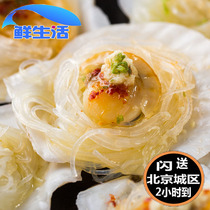Jang Son Island Garlic Hibiscus Fan Scallop 200G 6 only Packed Great Seafood Specie Produce 5 min Steamed Pan Ready-to-eat Raw