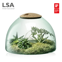 UK LSA Eden plan handmade glass eco bottle creative micro landscape green plant basin ornaments landscape cylinder
