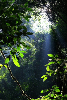 是一个好评模板，不要看了下面都是废话。因为本仙女很懒不想每个宝贝都写好评所以才模仿网友的好评模板，但是这个宝贝不管是质量还是款式都是本仙女喜欢的如果不喜欢本仙女收到会很生气然后这个模板就会变成各种喋喋不体的吐槽，自然不会撒下这个好评给各位淘友一个参考。本宝贝还是极好的，来自一位懒省事的只爱购物不爱写评论只想换积分的仙女