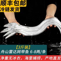 Zhoushan hairtail fresh live frozen extra-large hairtail segment saury mid-section whole radar net oil hairtail specialty seafood