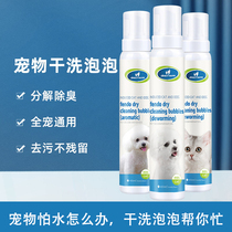 Pets free water washed foam kittens puppies dry cleaning foam puppies wash and deodorize leave aromas free of water wash body lotion