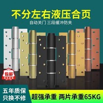 Haida invisible door hinge door closer Hydraulic buffer hinge damping spring lotus leaf automatic closing factory direct sales