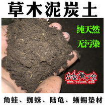 Vegetation Peat soil Sterile soil humus soil Natural pollution-free spider scorpion horned frog hibernating lizard cushion