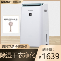 Sharp dehumidifier air purifier integrated DW-CE15F-W household pumping and drying clothes formaldehyde smoke hemolina