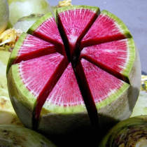 Fresh in heart US radish When the season is fresh and fresh and crisp and tasty with a box of 5 kilos