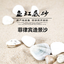 Fish tank bottom sand sand shell sand coral sand white sea sand Philippine sand landscaping aquarium set 500g