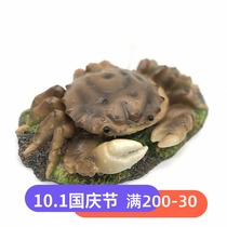 Small fish tank tortoise oxygen pump aquarium landscaping aerating pump fish filling oxygen machine household crab Oxygenator