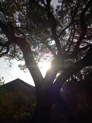 物流速度非常快，看着性欲就来了，洗干净了再上图