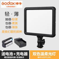 Shenniu LEDP120C adjustable color temperature camera light light and thin photography LED flat fill light anchor light