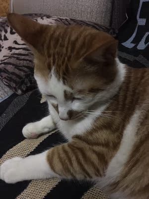 此用户没有填写评价。 此用户没有填写评价。