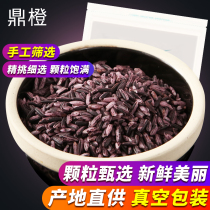 Ding orange 2kg purple rice Mojiang purple glutinous rice black rice glutinous rice Yunnan specialty rice blood rice made yogurt purple rice Dew
