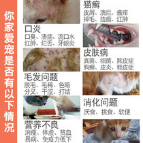 Cat Oral Stomatitis Cat Moss Mycobacterial Skin Skin Hair Loss Hairy Cat Pooch Dog Compound Vitamin B