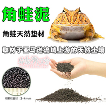 Horned frog mud Horned frog mat granular soil Amphibious frog mud climbing pet feeding box with yellow-green horned frog non-cow mat