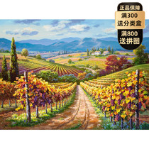 Spot Vineyard castorland Poland imported puzzle 3000 pieces of oil painting landscape