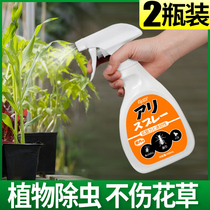 Insecticide Household indoor flowers and insects Green plants Green dill pot fleshy season non-non-toxic gardenia flower pest control agent