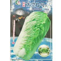 Space No. 6 Chinese cabbage seeds seeds strong disease resistance high yield spring and autumn sowing vegetables green vegetables seeds seeds seeds