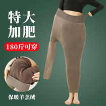 Plus velvet padded leggings womens autumn and winter tights socks winter warm fat sister mm plus fat special size